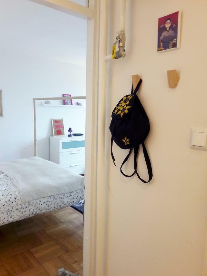 Brand New Cosy Apartment Zágráb Kültér fotó